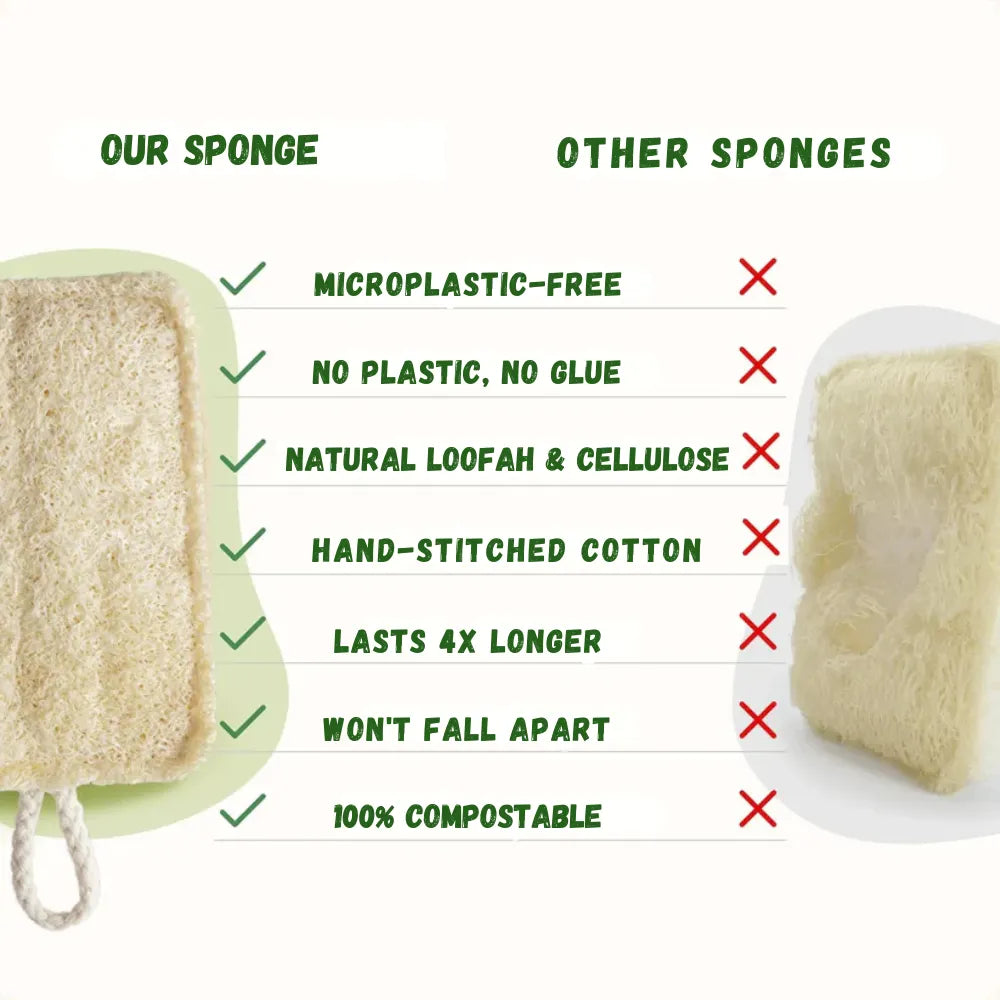 Natural Loofah Dish Sponge