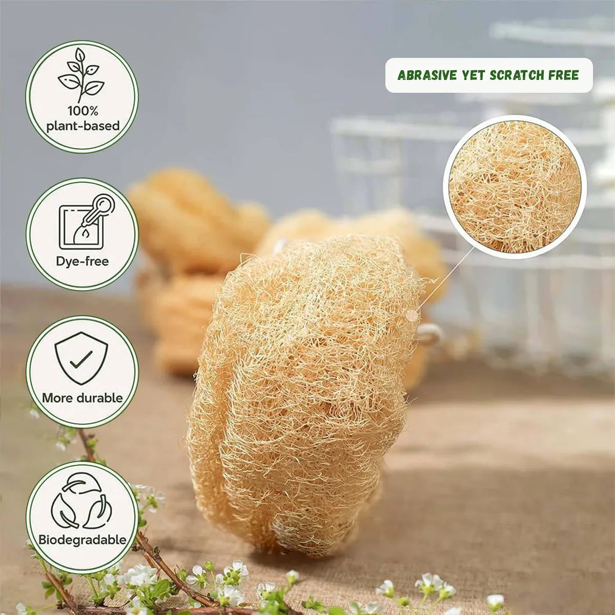 Natural Loofah Exfoliating Body