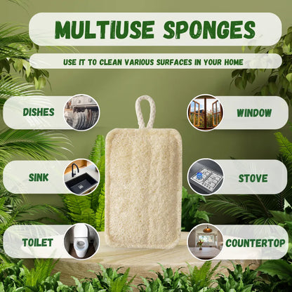 Natural Loofah Dish Sponge