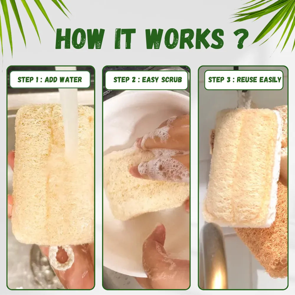 Natural Loofah Dish Sponge