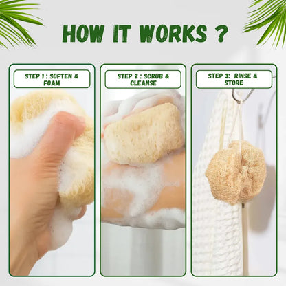 Natural Loofah Exfoliating Body
