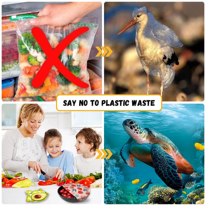 Reusable Beeswax Food Wraps