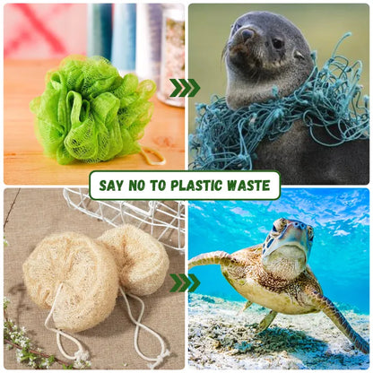 Natural Loofah Exfoliating Body